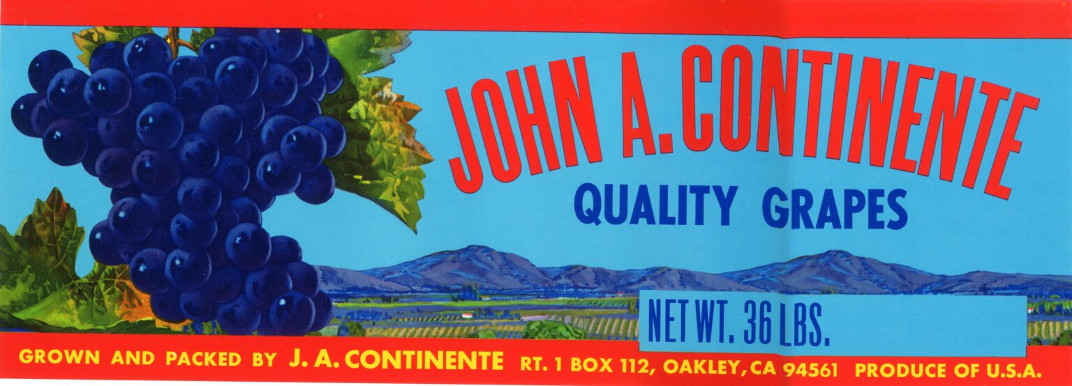 John A. Continente